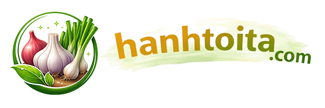 logo banner web hanhtoita.com 2