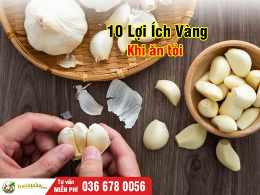 Ăn Tỏi Có Tác Dụng Gì? 10 Lợi Ích Vàng Cho Sức Khỏe Bạn Nên Biết 2026